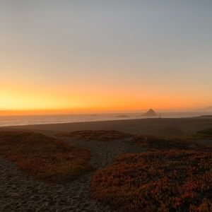 Meet your Posher, Matt